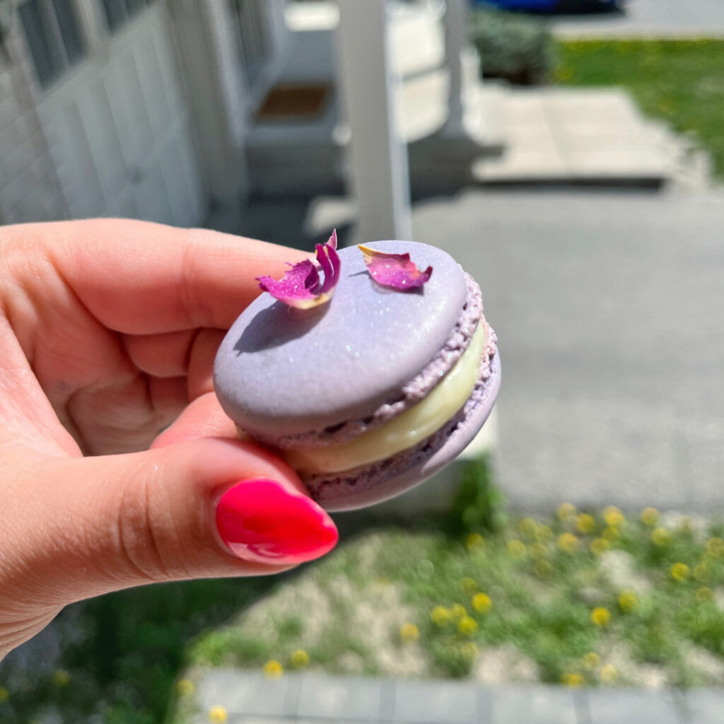 Floral Macarons