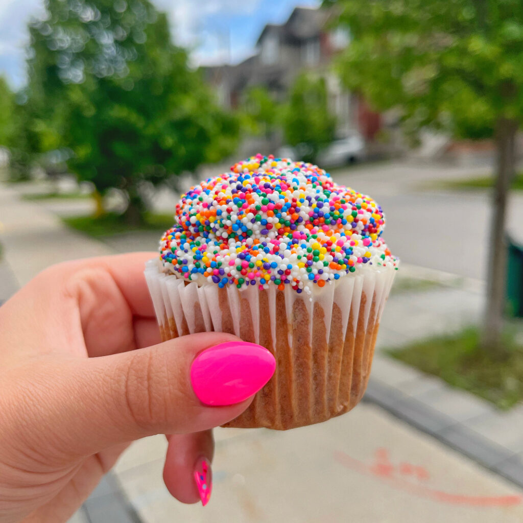 Vanilla Sprinkled Cupcake